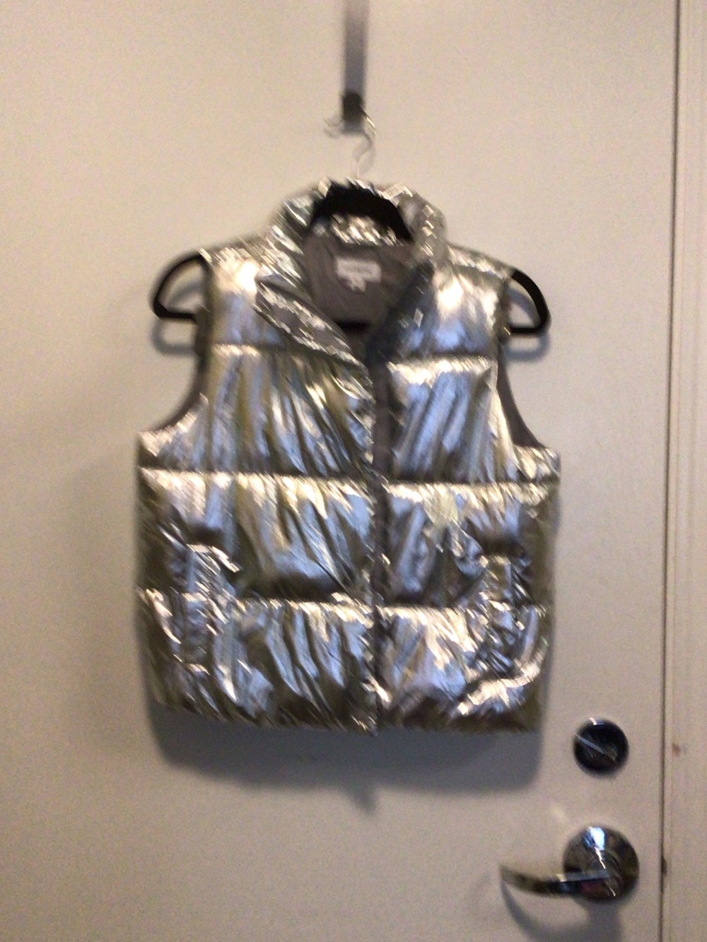 Evereve Metallic Silver Quilted Puffer Vest